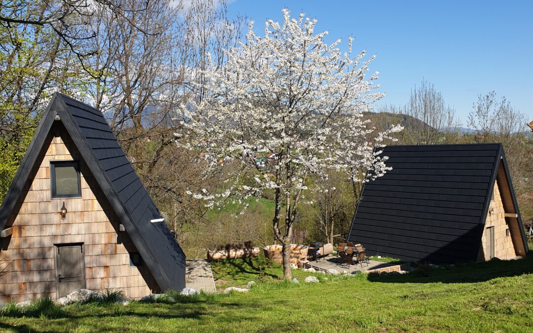 Hai (si tu) la munte Bran!